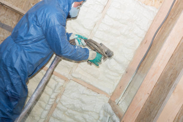 Eco-Friendly or Green Insulation Solutions in Lake City, FL